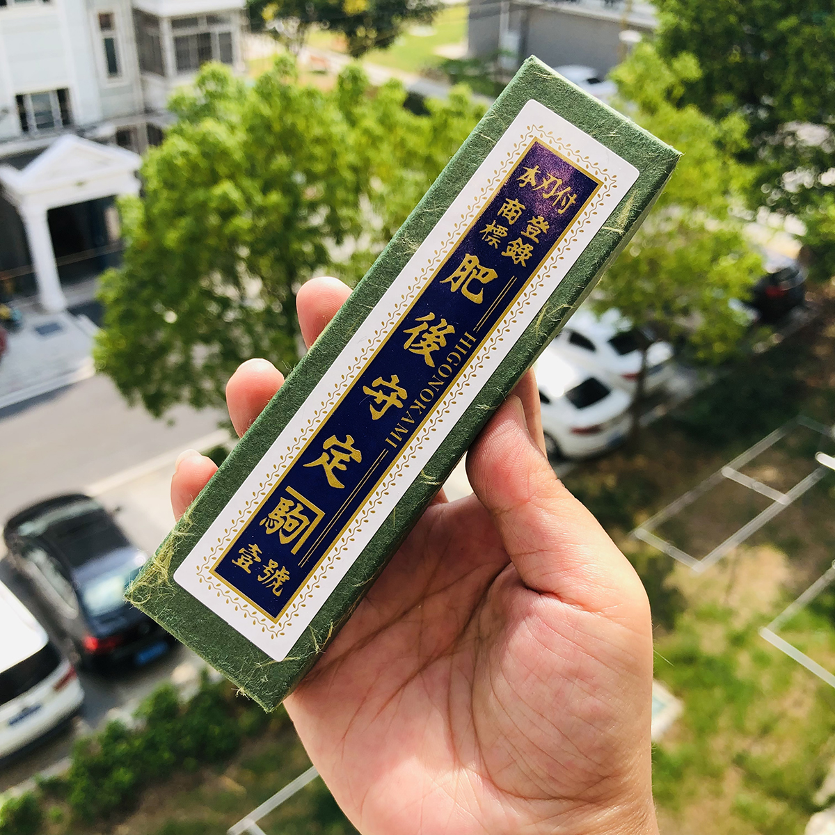 永尾肥后守定驹 笹刃型 真中 249