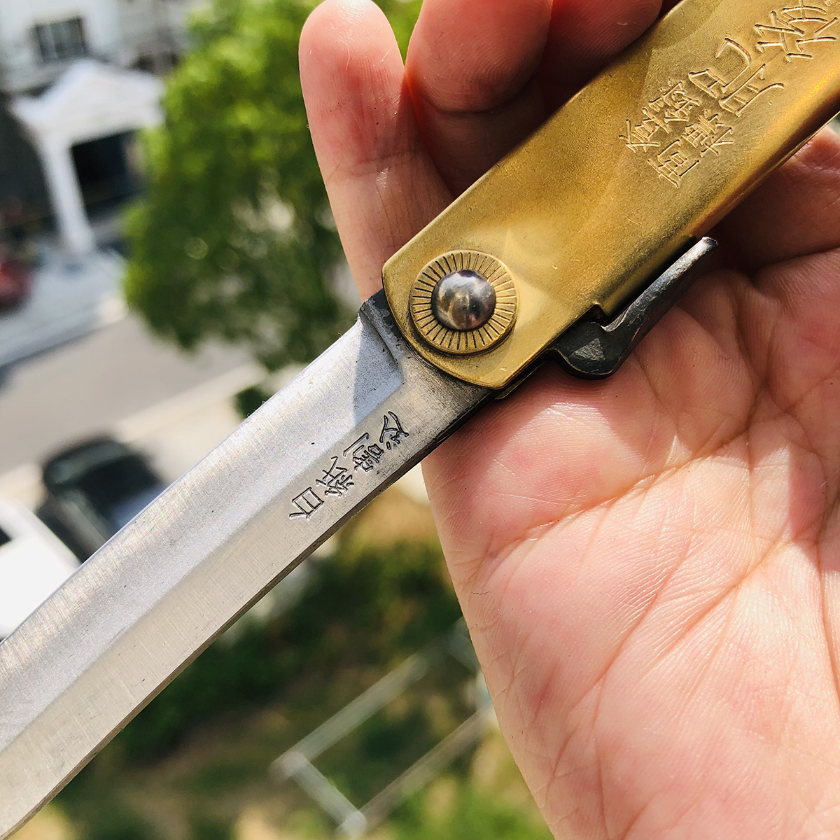 永尾肥后守定驹 笹刃型 真中 249