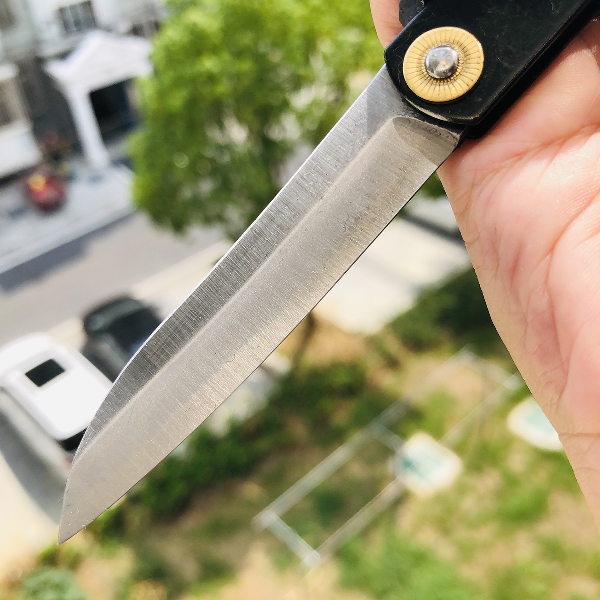 永尾肥后守定驹 笹刃型 本黑 249