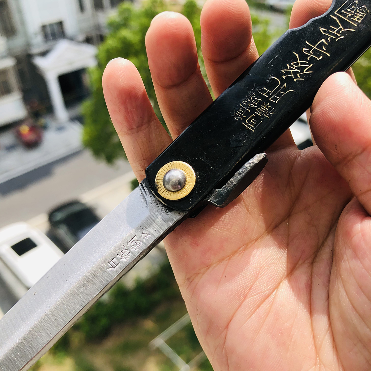 永尾肥后守定驹 笹刃型 本黑 249