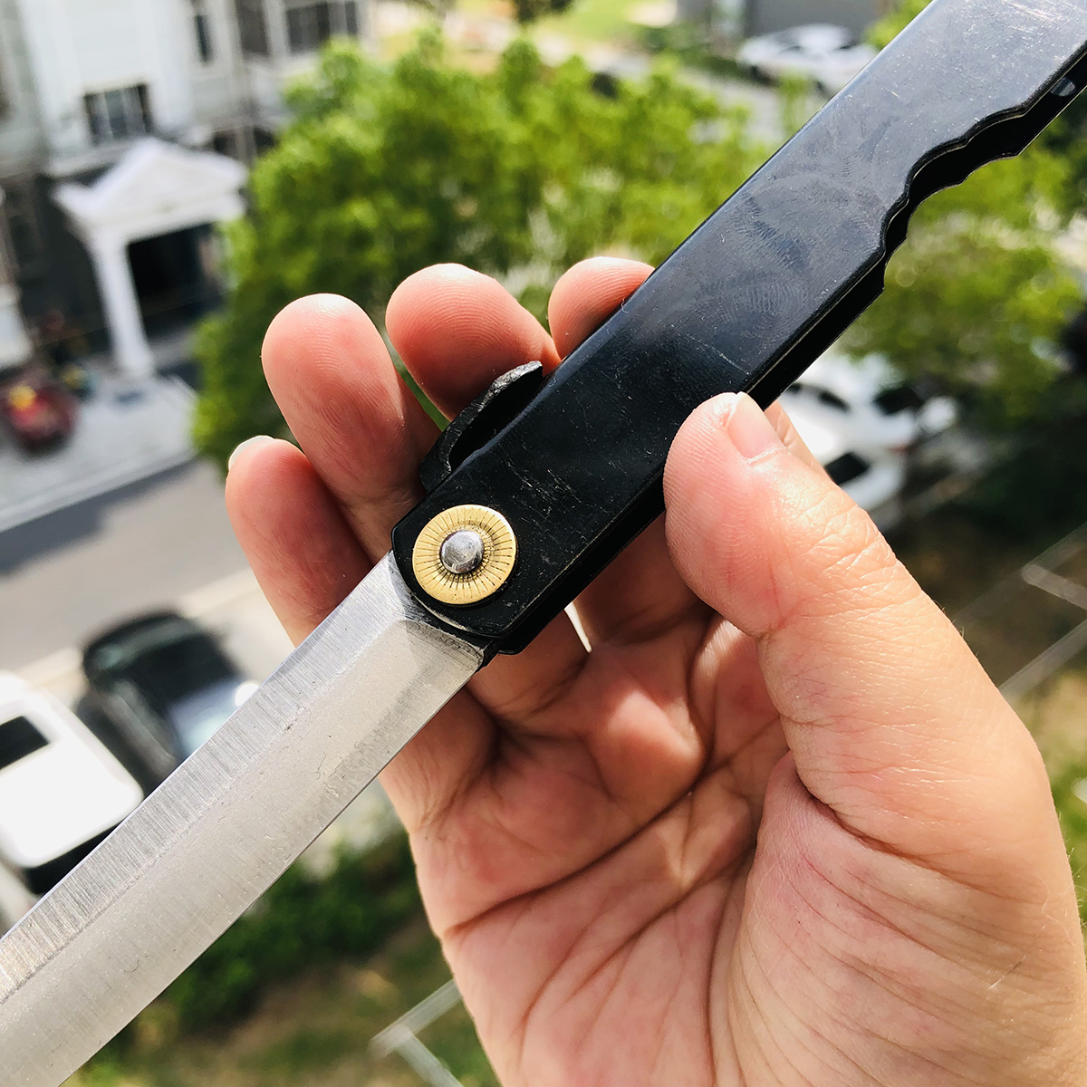 永尾肥后守定驹 笹刃型 本黑 249