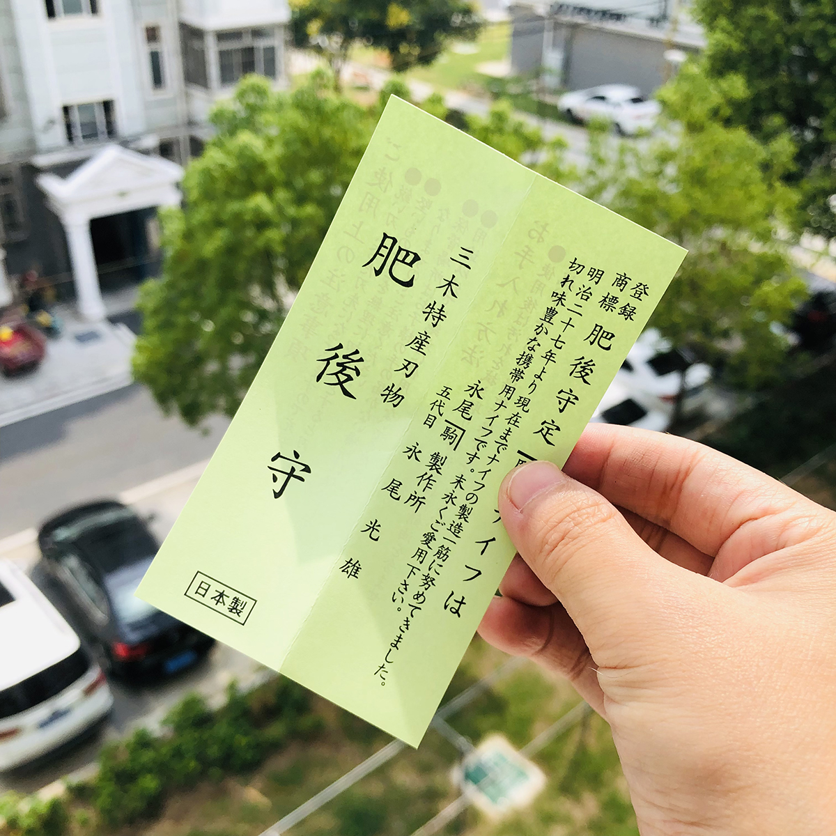 永尾肥后守定驹 笹刃型 本黑 249
