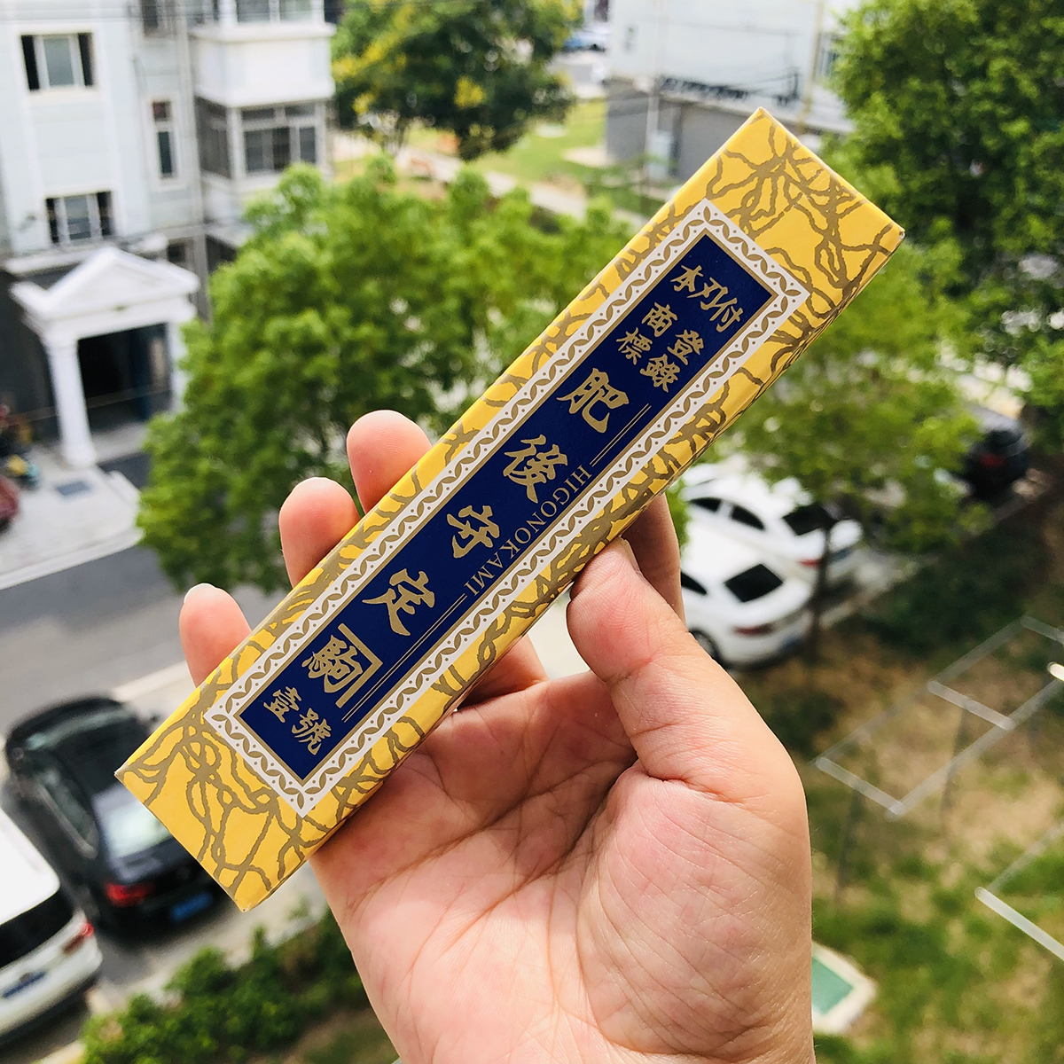 永尾肥后守定驹 青纸 真中 特大 178