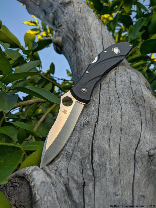 Spyderco C66PBK3 VG-10钢 FRN手柄 630