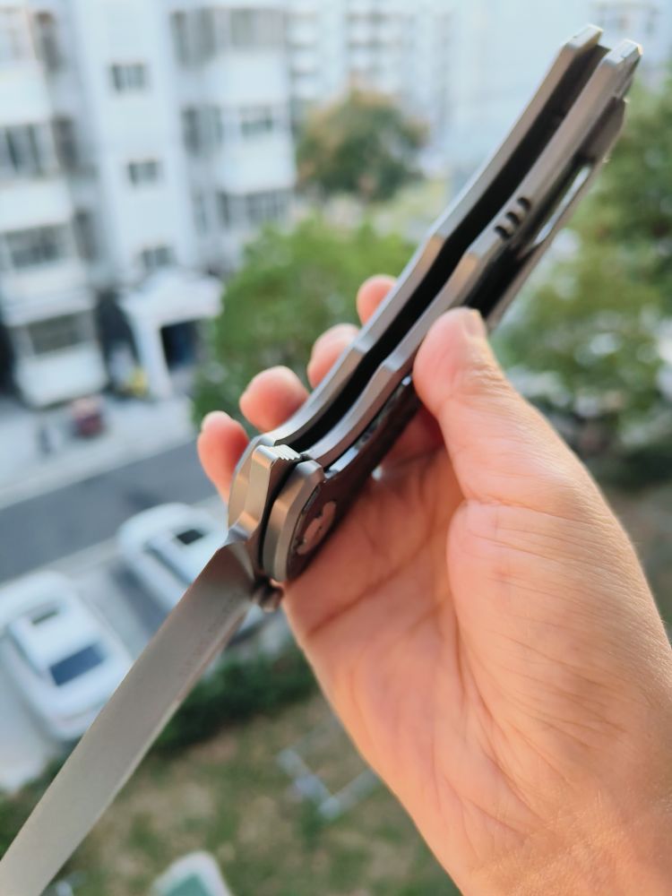 Maxace Knives 渡鸦三代 M390钢 钛柄镶嵌锆 1680