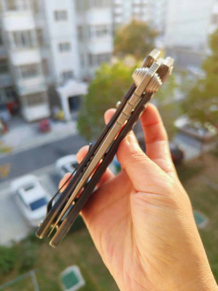 🚫 Maxace Knives 沙尘暴 K110钢 G10柄 380