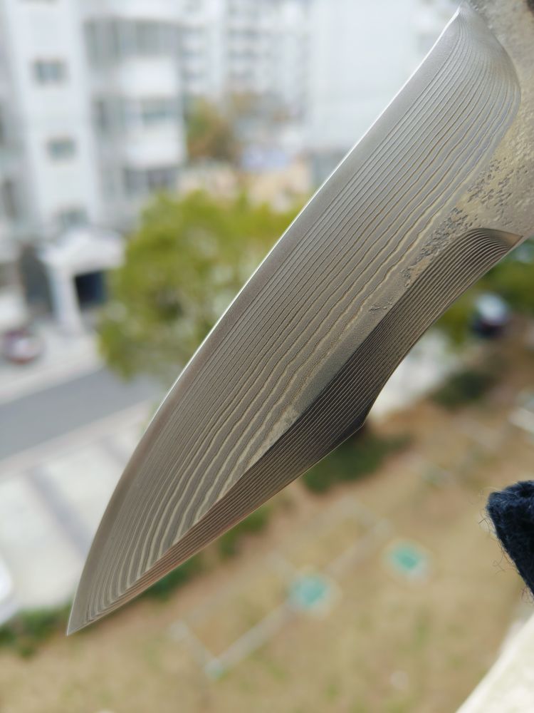 KikuMatsuda 松田菊男秋风 SPG2钢 米卡塔柄 KM-310 3880