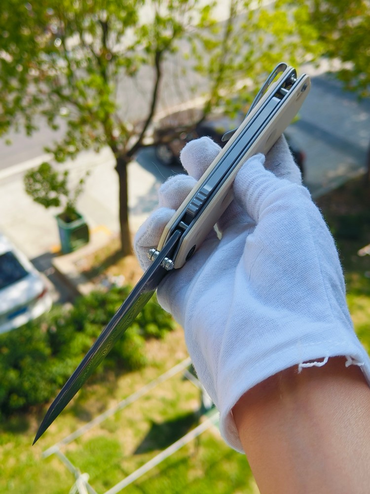 🔥 CIVIVI Vision FG 大马士革钢 G10柄 C22036-DS1 白色 850