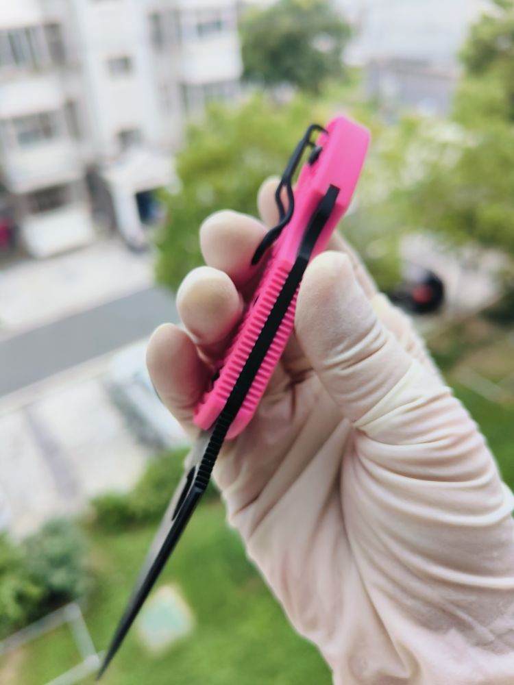 Spyderco C28FPPNS30VBK2 CPM-S30V钢 FRN尼龙柄 粉色 780