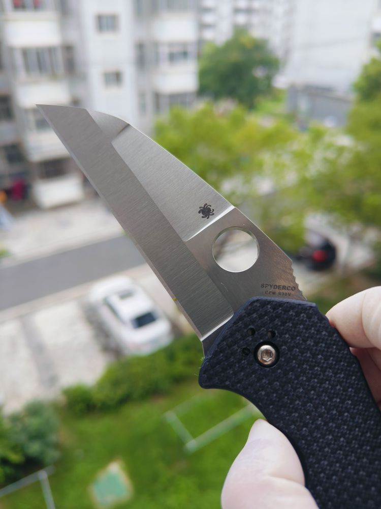 Spyderco C248CFP CPM-S30V钢 碳纤维+G10柄 1580