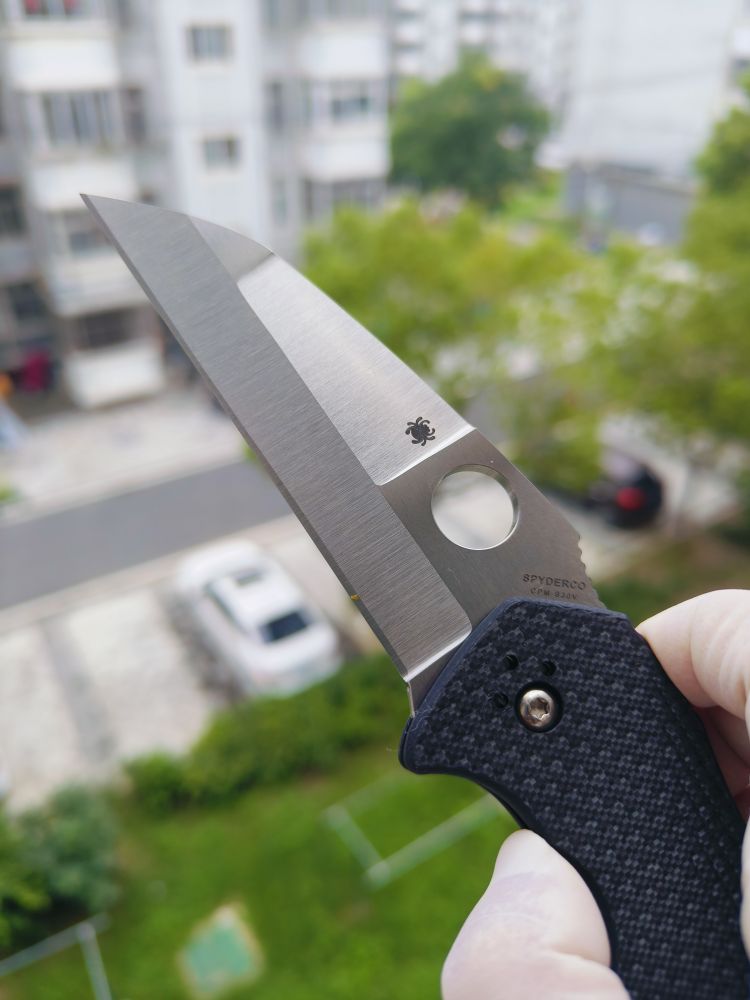 Spyderco C248CFP CPM-S30V钢 碳纤维+G10柄 1580