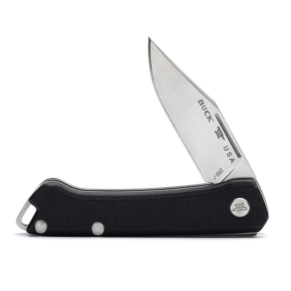 Buck knives 0250BKS1 899