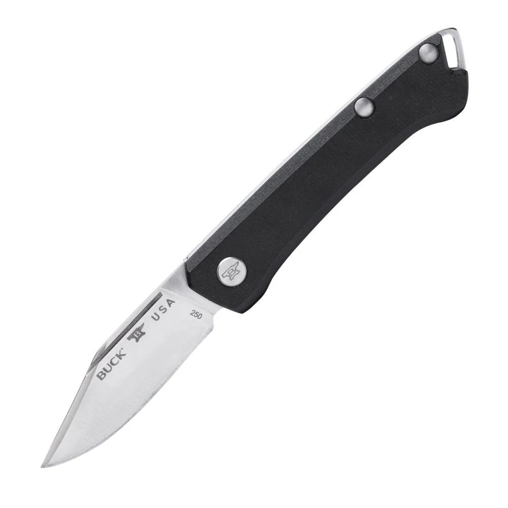 Buck knives 0250BKS1 899