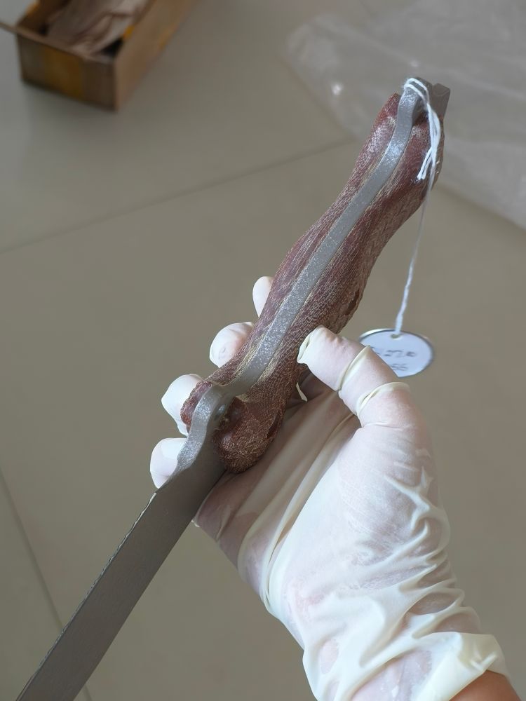 【已出】Busse Combat Knife Liberty Heart  - Sterile INFI钢 米卡塔手柄 3500