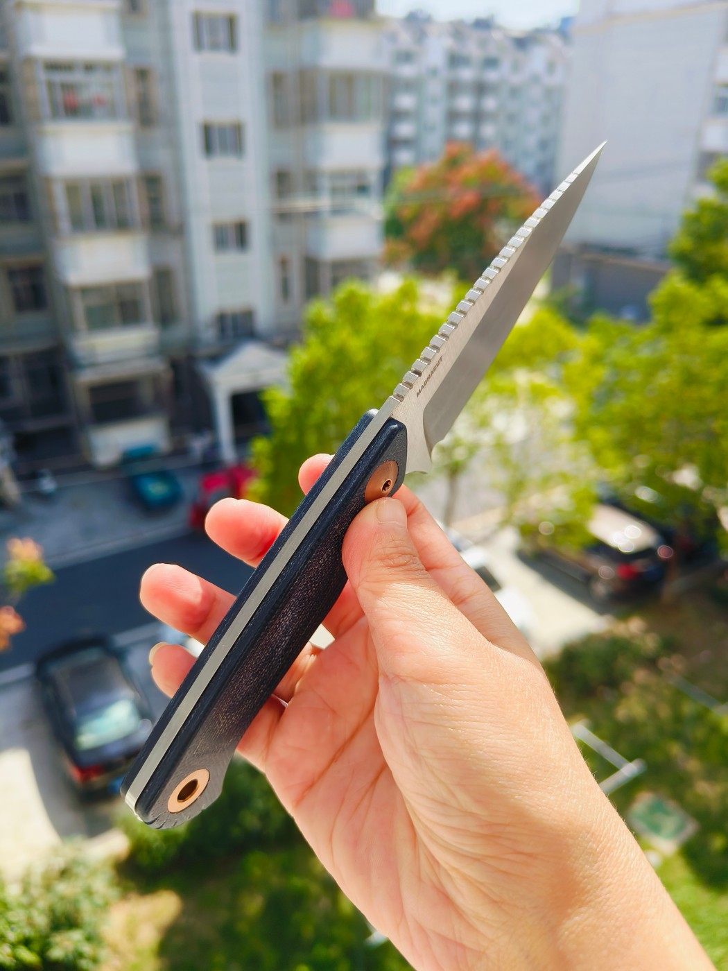 🔥Benchmade DACIAN CPM-MagnaCut钢 米卡塔柄 203 蓝色 2180