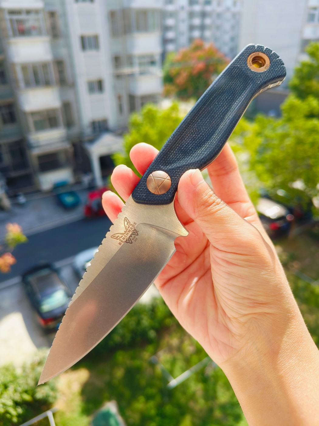 🔥Benchmade DACIAN CPM-MagnaCut钢 米卡塔柄 203 蓝色 2180