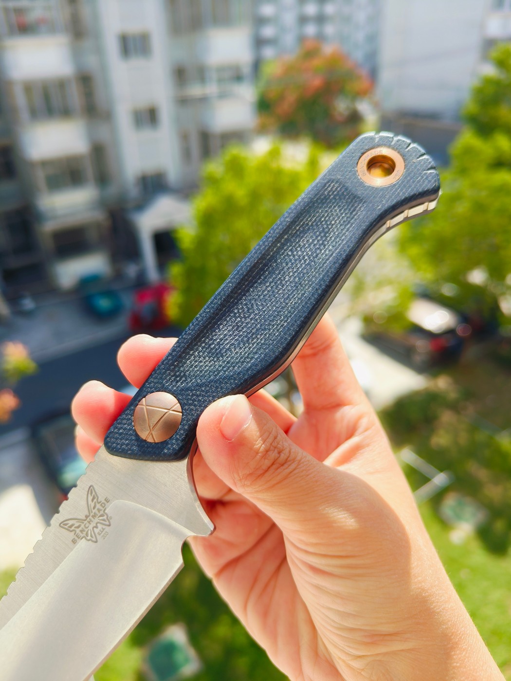 🔥Benchmade DACIAN CPM-MagnaCut钢 米卡塔柄 203 蓝色 2180