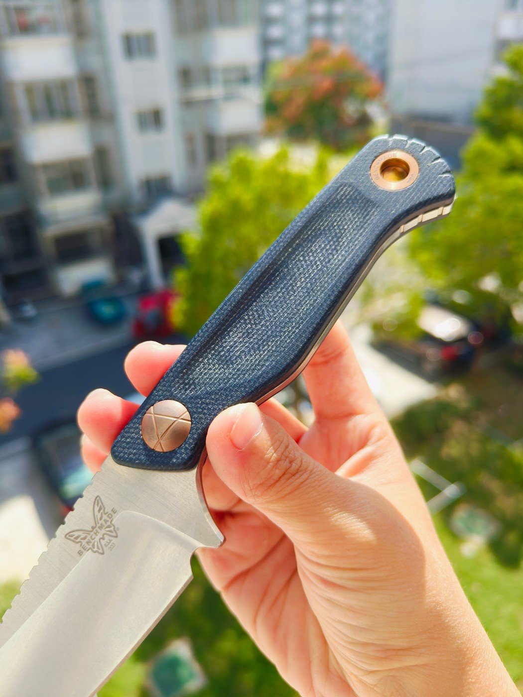 🔥Benchmade DACIAN CPM-MagnaCut钢 米卡塔柄 203 蓝色 2180