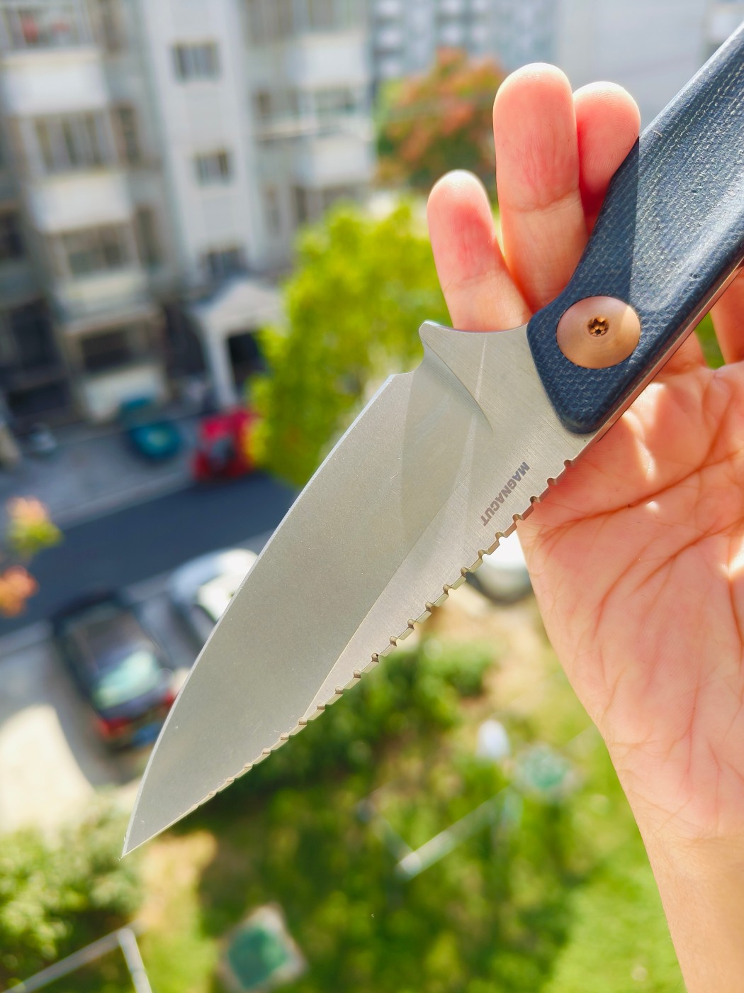 🔥Benchmade DACIAN CPM-MagnaCut钢 米卡塔柄 203 蓝色 2180