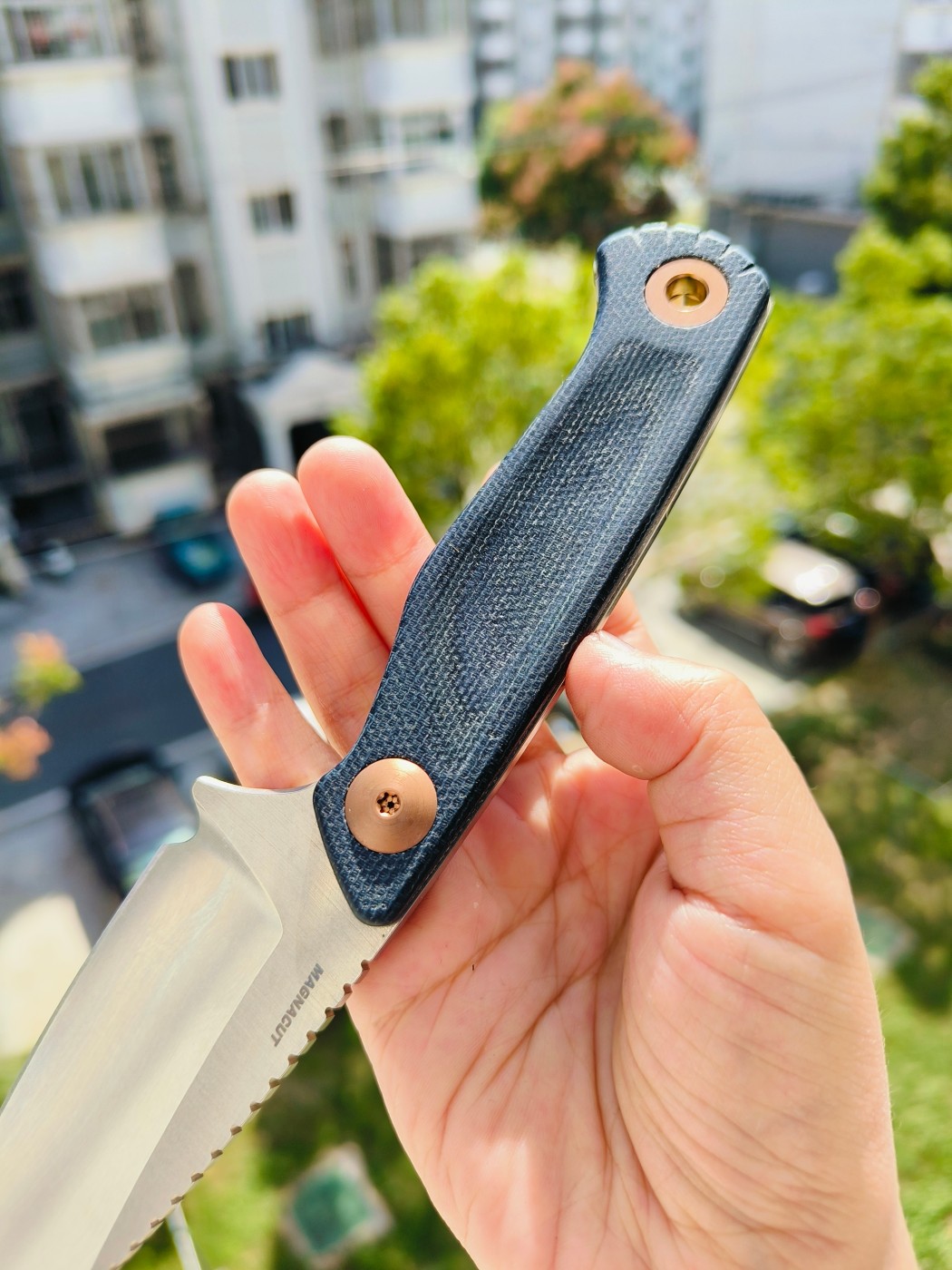 🔥Benchmade DACIAN CPM-MagnaCut钢 米卡塔柄 203 蓝色 2180