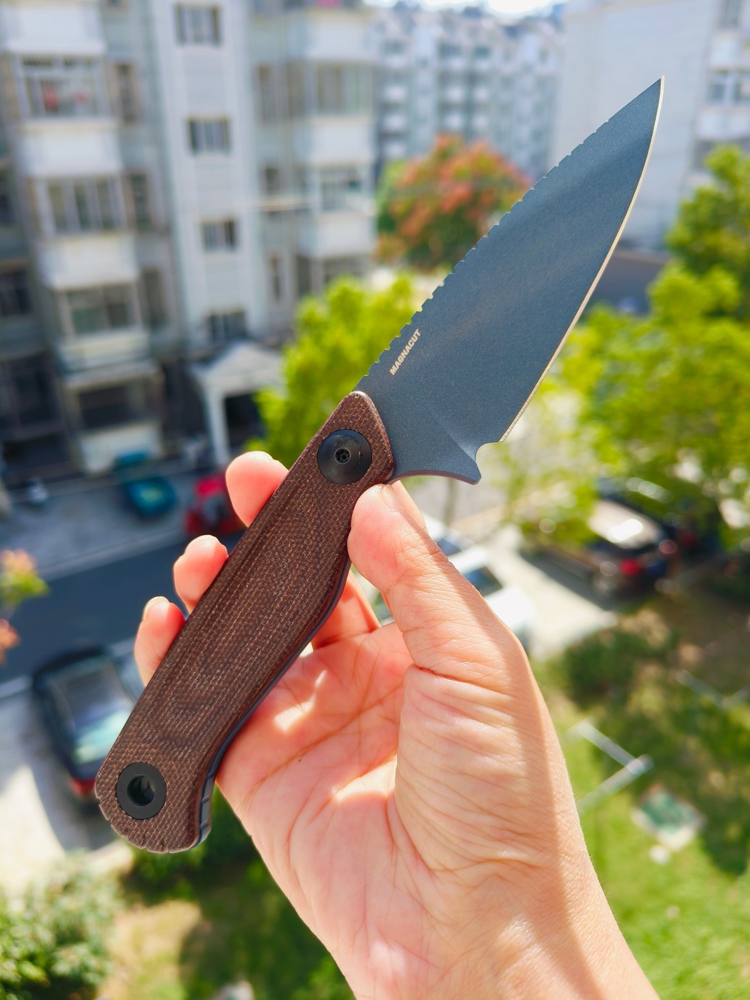 🔥Benchmade DACIAN CPM-MagnaCut钢 米卡塔柄 203BT-01 蓝色 2290
