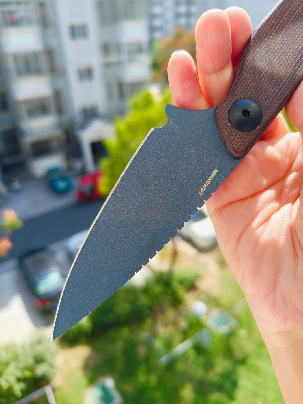 🔥Benchmade DACIAN CPM-MagnaCut钢 米卡塔柄 203BT-01 蓝色 2290