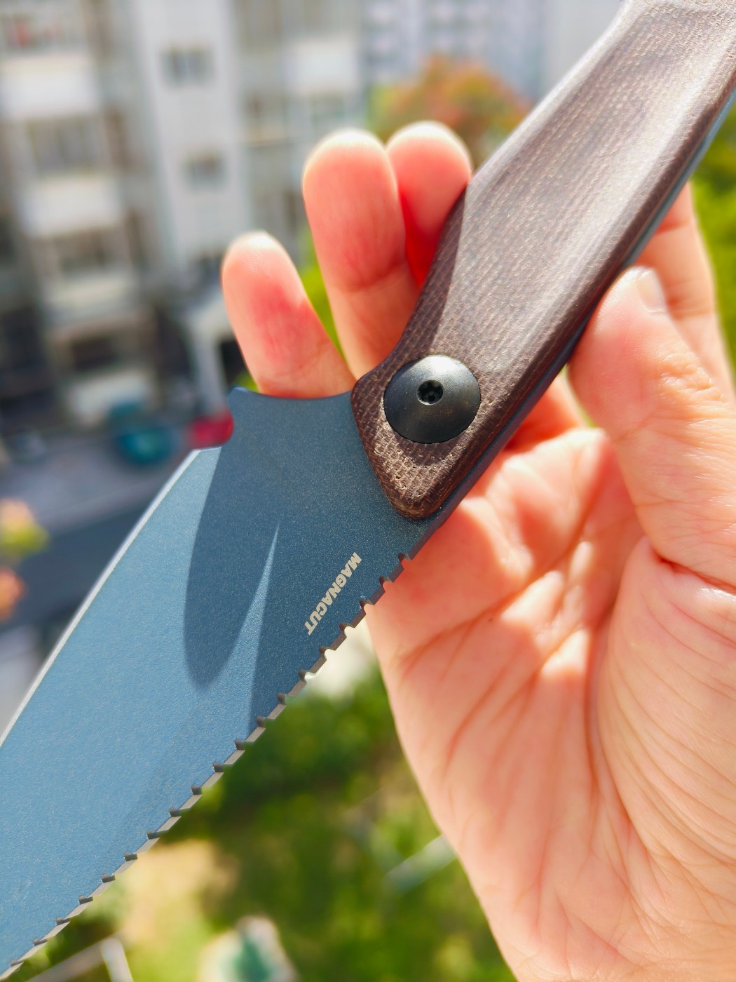 🔥Benchmade DACIAN CPM-MagnaCut钢 米卡塔柄 203BT-01 蓝色 2290