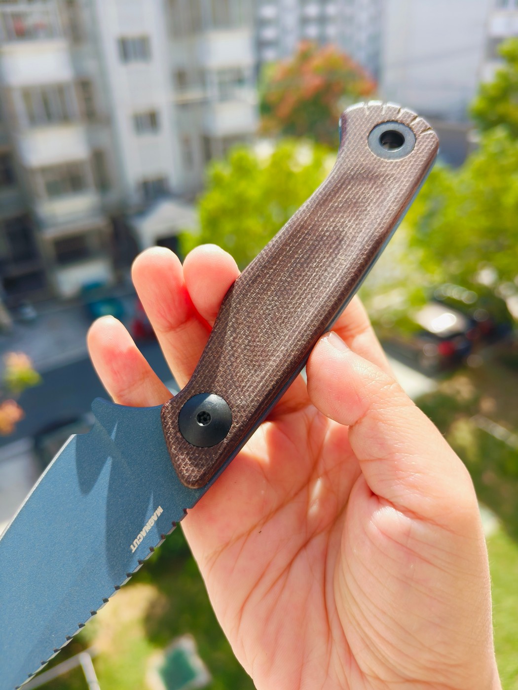 🔥Benchmade DACIAN CPM-MagnaCut钢 米卡塔柄 203BT-01 蓝色 2290