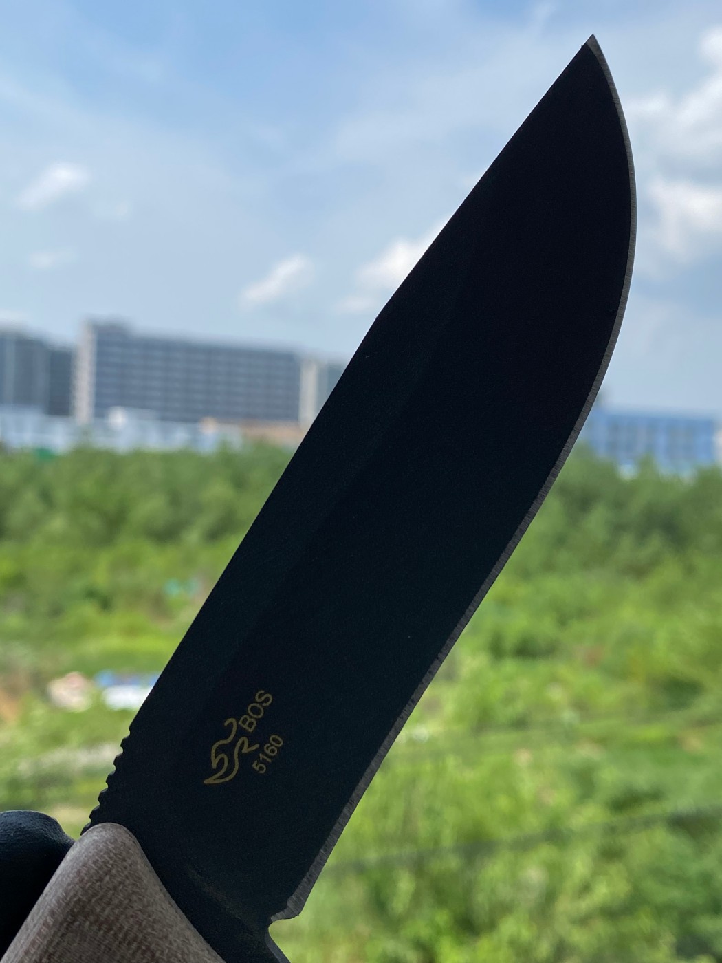 Buck knives 5160钢 米卡塔柄 0104BRS1-B 棕色 860
