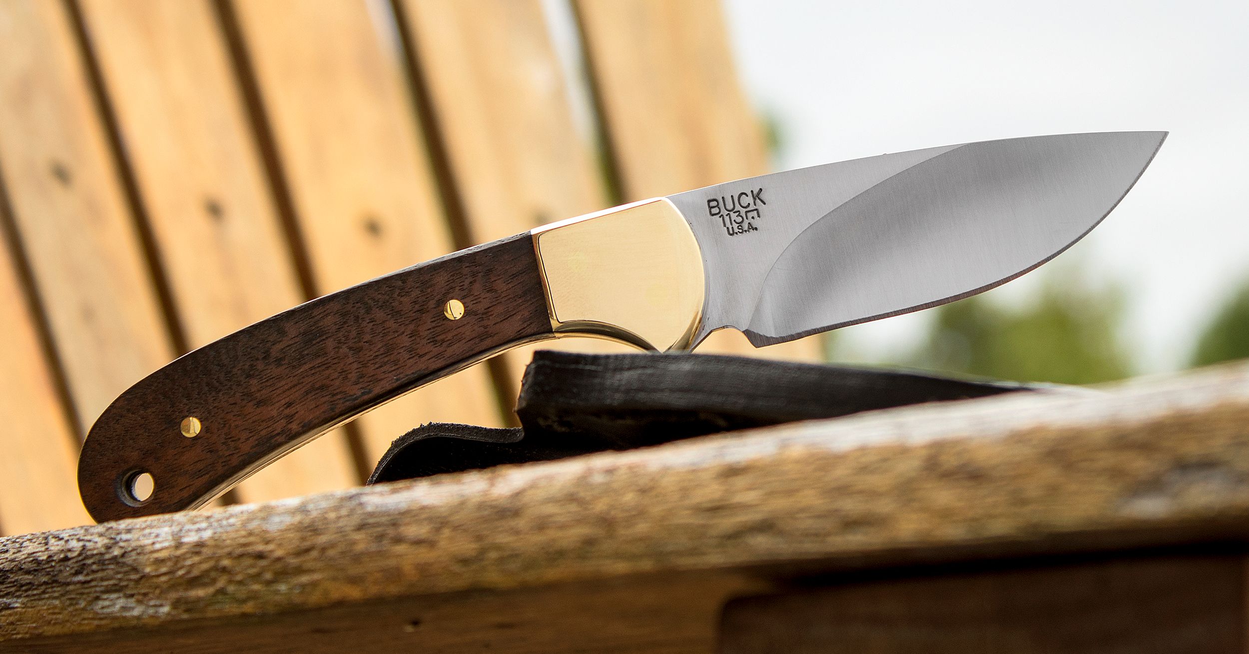 Buck 0113BRS-B Ranger Skinner 420HC钢 黑檀木柄 760