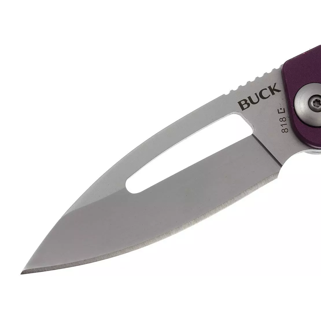 Buck 0818PPS-B Apex 420HC 不锈钢 铝 紫色 260