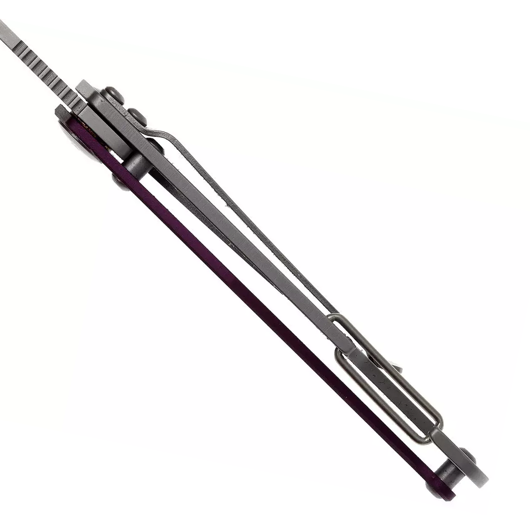 Buck 0818PPS-B Apex 420HC 不锈钢 铝 紫色 260