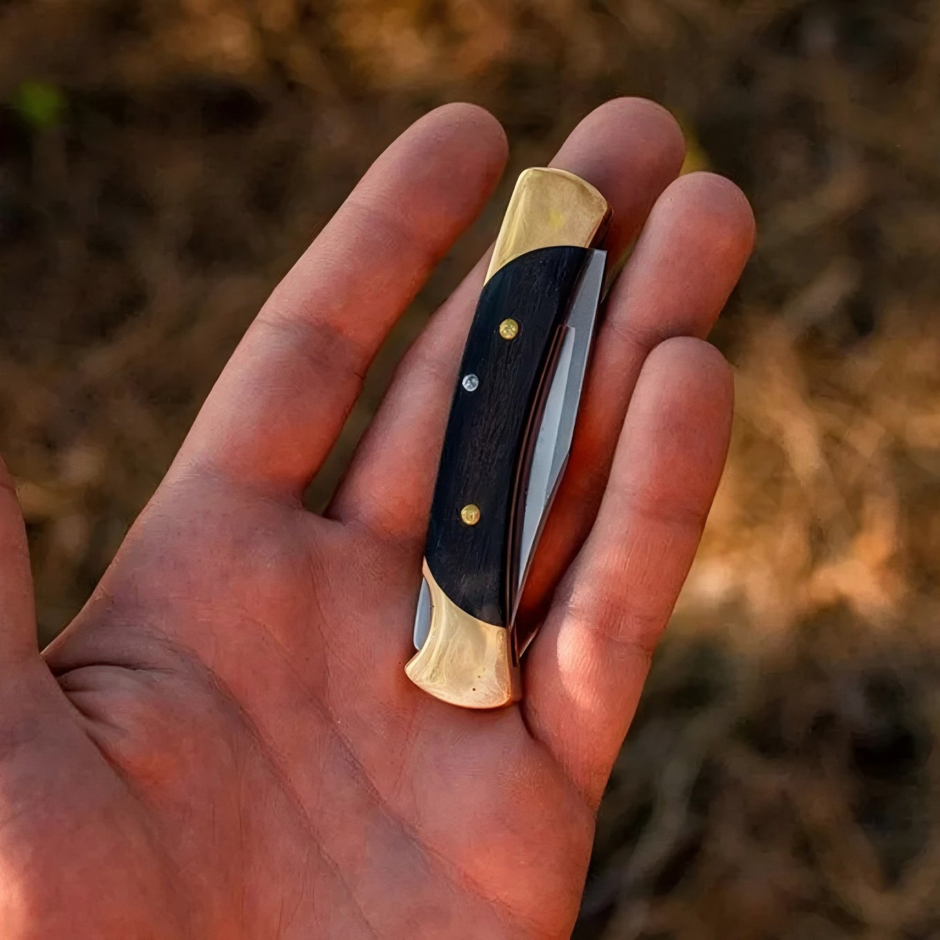 Buck Knives 0055BRS-B 420HC钢 乌木/黄铜柄 540
