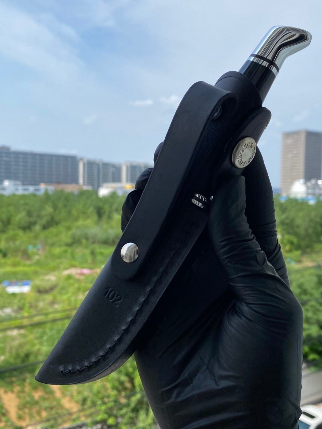 Buck Knives 0102BKS-B 420HC钢 黑色酚醛树脂柄 带铝制柄头和护手 580