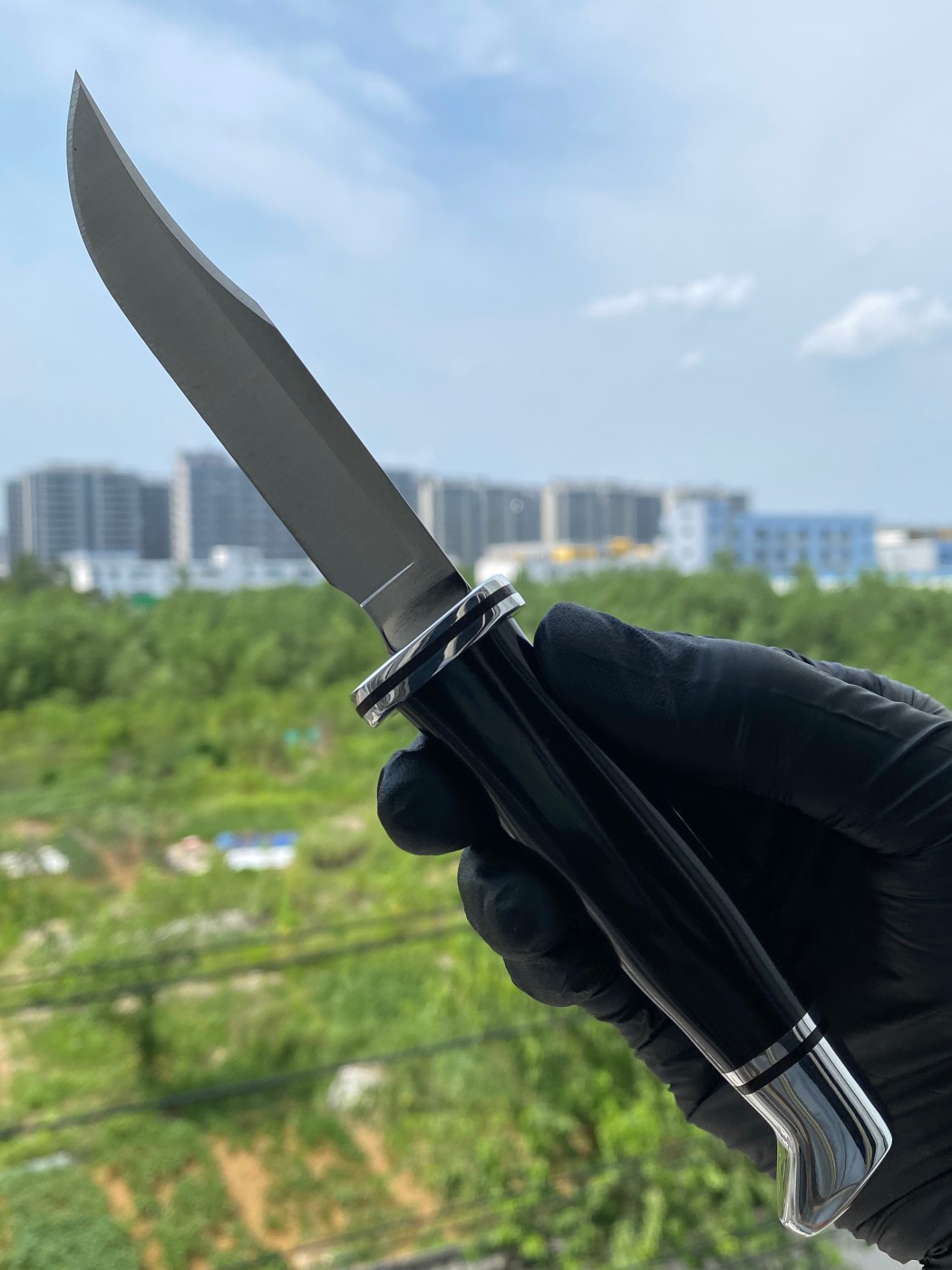 Buck Knives 0102BKS-B 420HC钢 黑色酚醛树脂柄 带铝制柄头和护手 580