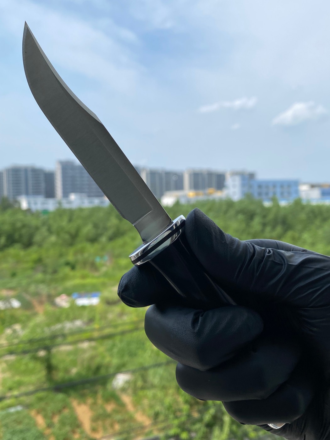 Buck Knives 0102BKS-B 420HC钢 黑色酚醛树脂柄 带铝制柄头和护手 580