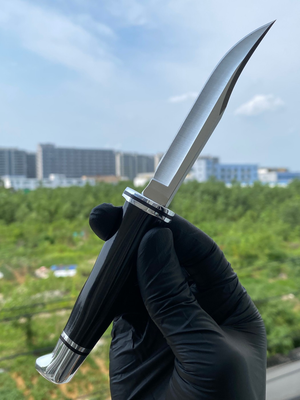 Buck Knives 0102BKS-B 420HC钢 黑色酚醛树脂柄 带铝制柄头和护手 580