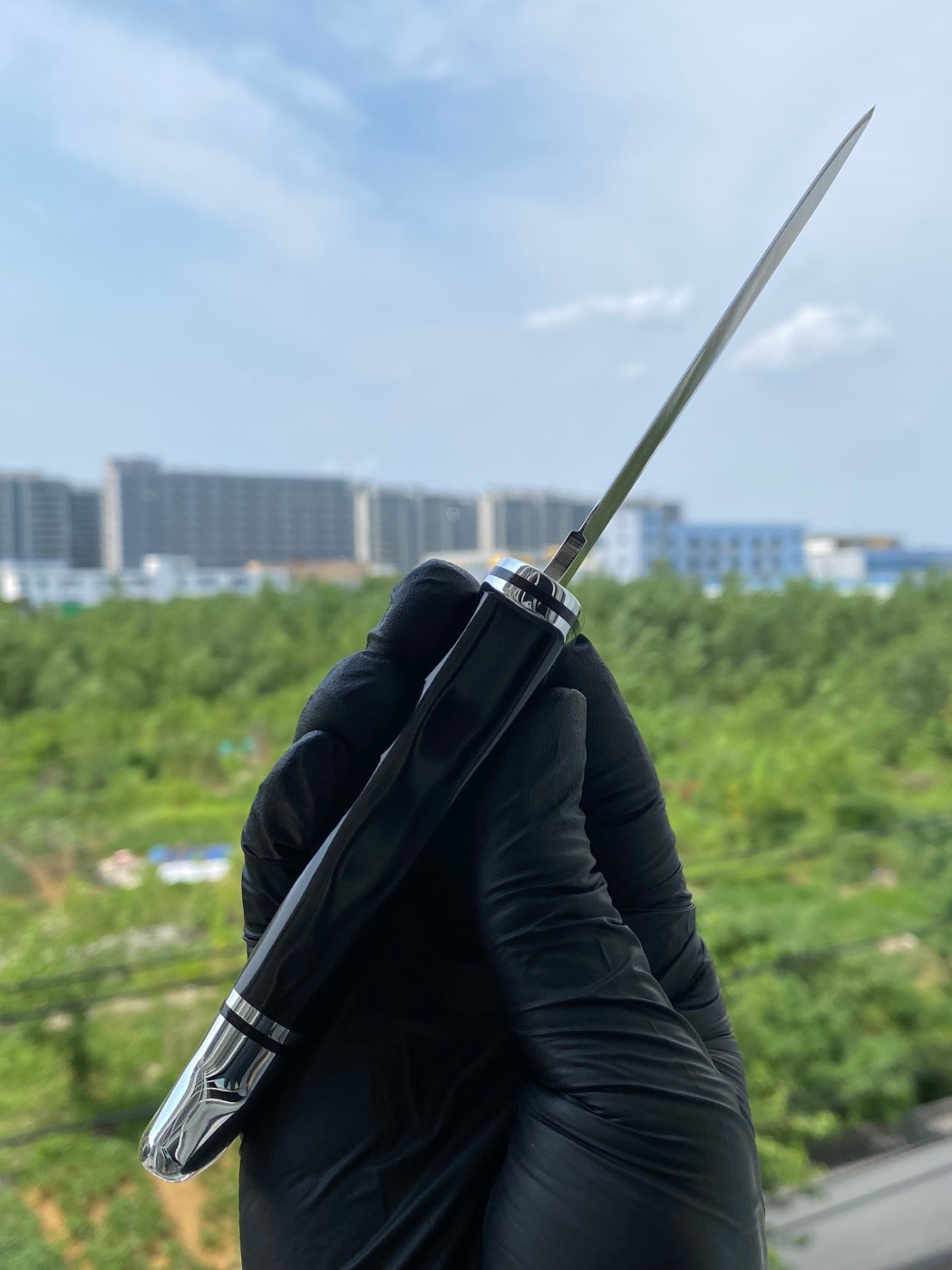 Buck Knives 0102BKS-B 420HC钢 黑色酚醛树脂柄 带铝制柄头和护手 580