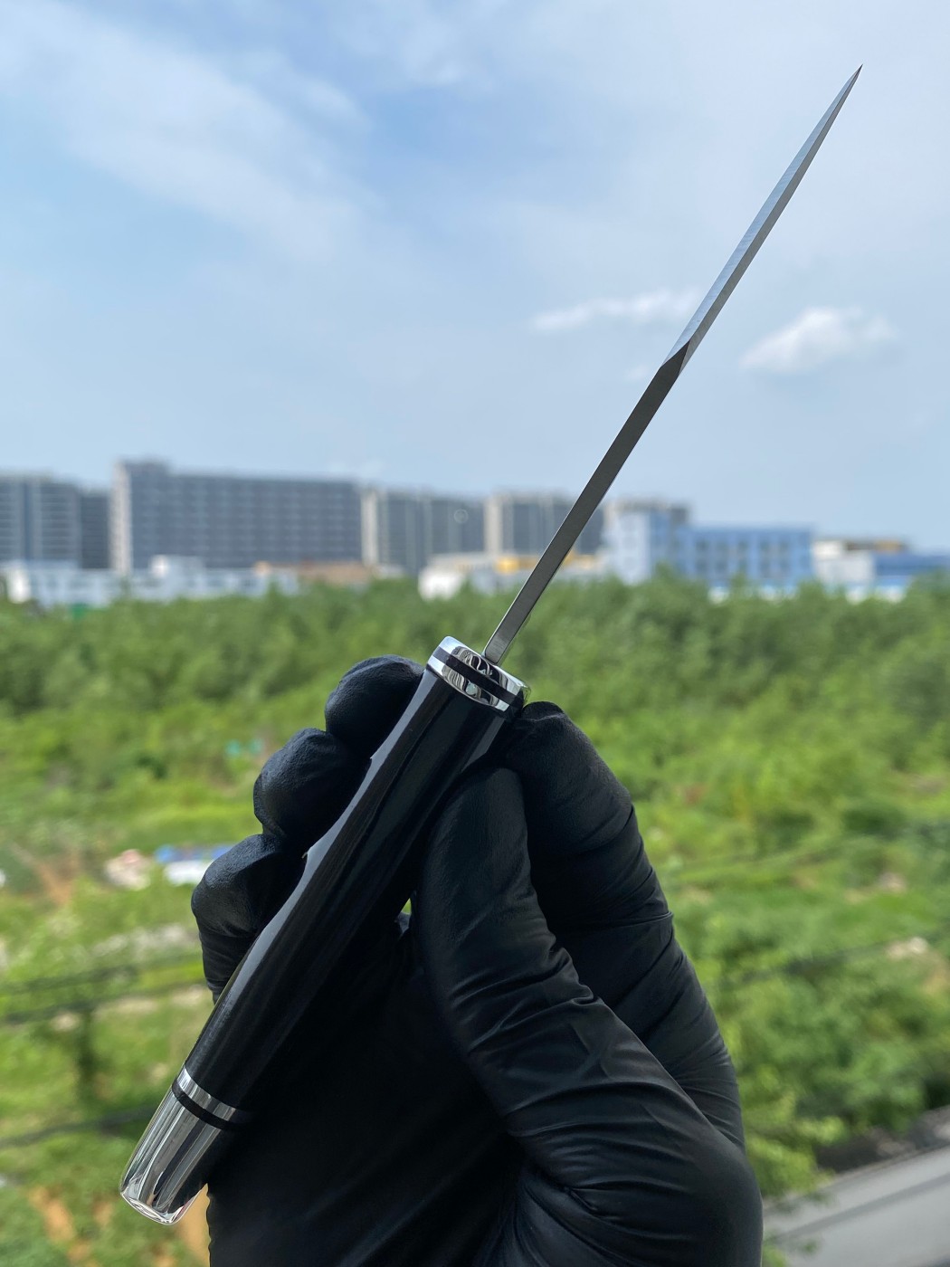 Buck Knives 0102BKS-B 420HC钢 黑色酚醛树脂柄 带铝制柄头和护手 580
