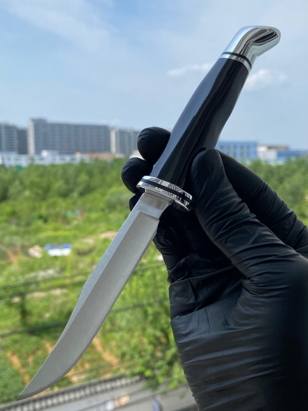 Buck Knives 0102BKS-B 420HC钢 黑色酚醛树脂柄 带铝制柄头和护手 580
