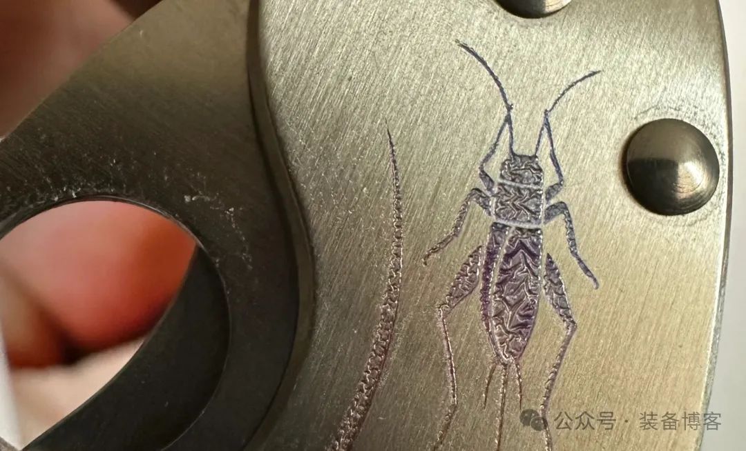 Spyderco C29：可爱圆润的掌中宝 - 装备博客