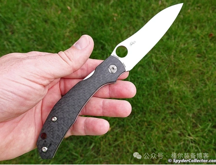 Spyderco C241 Kapara 测评：实用与美学的完美结合 - 装备博客
