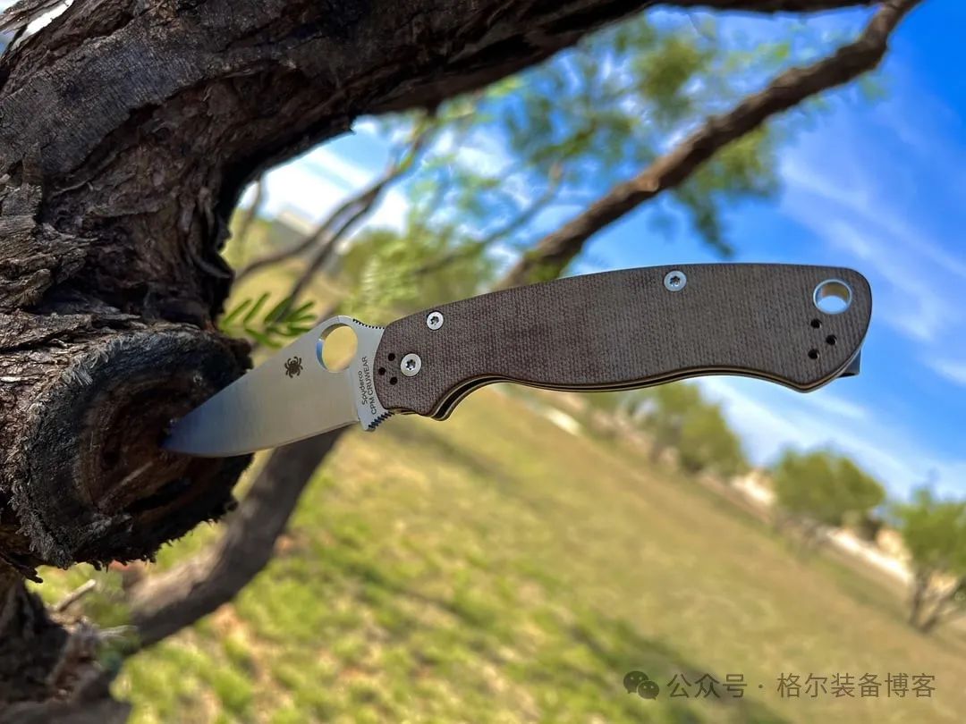 Spyderco C81 测评：战术折刀中的全能战士 - 装备博客