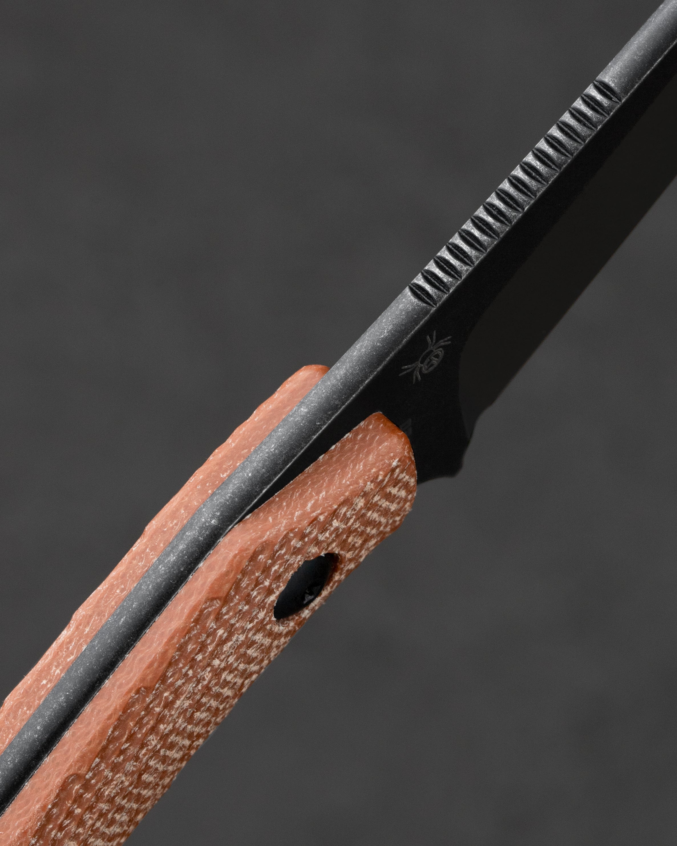 BESTECH STEP   D2钢   Micarta手柄  BFK06D  棕色  500