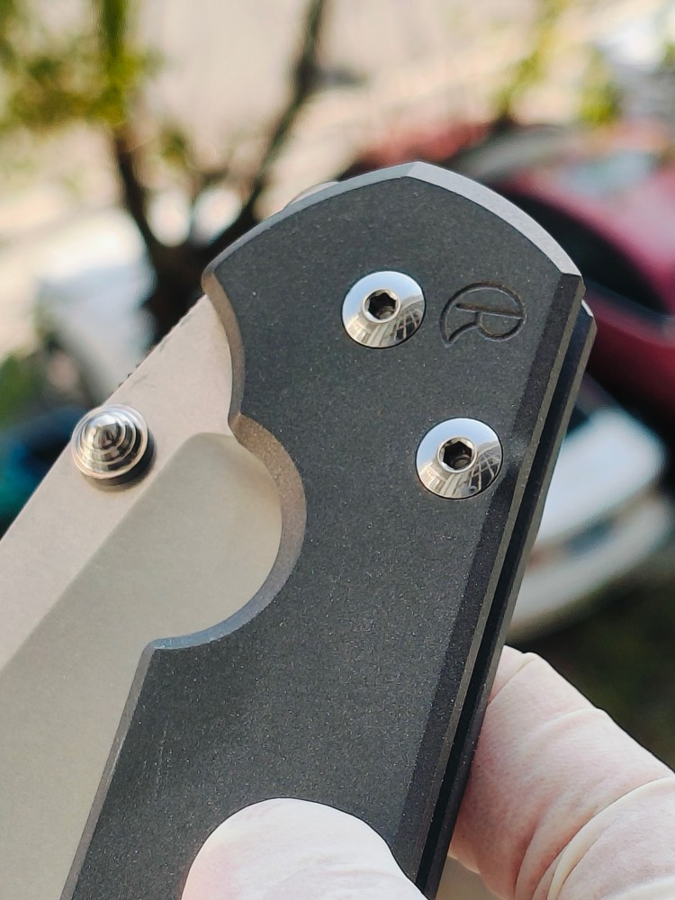 【寄售】Chris Reeve Large Sebenza 31 S45VN钢 钛柄 双银色推刀钮 4200