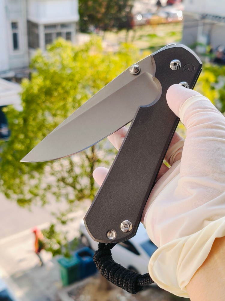 【寄售】Chris Reeve Large Sebenza 31 S45VN钢 钛柄 双银色推刀钮 4200