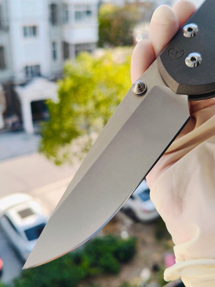 【寄售】Chris Reeve Large Sebenza 31 S45VN钢 钛柄 双银色推刀钮 4200