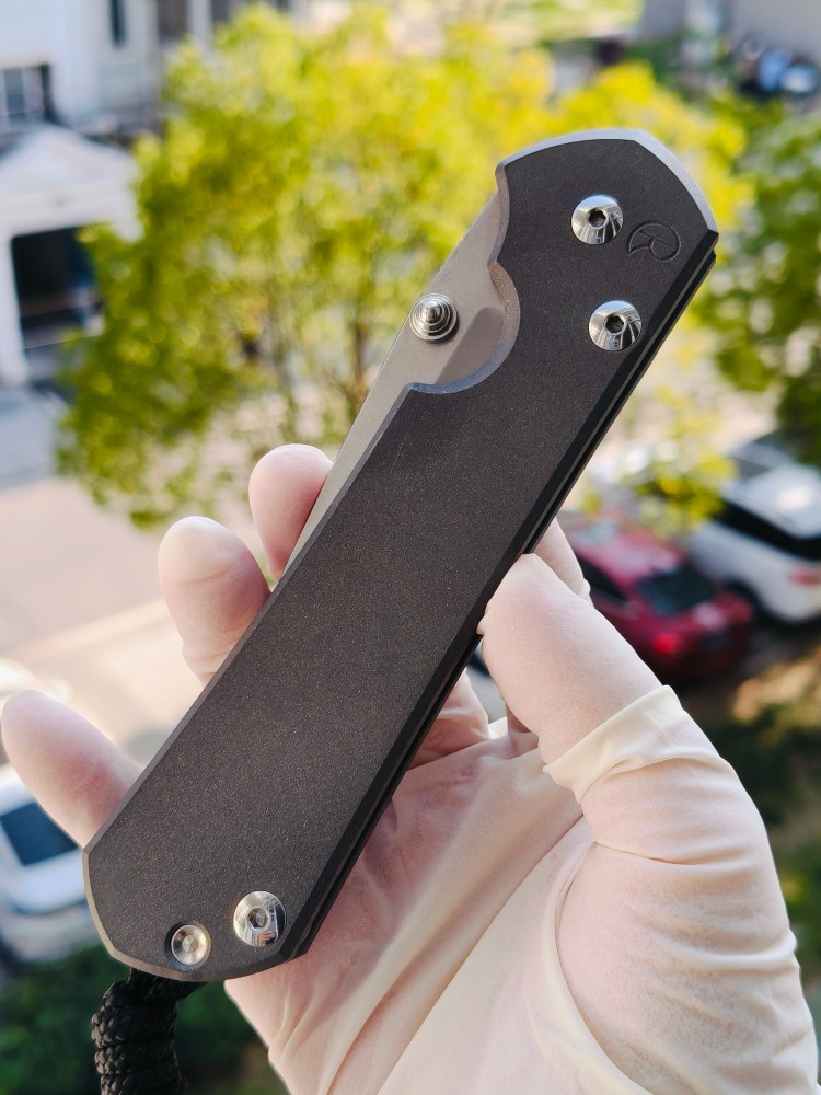 【寄售】Chris Reeve Large Sebenza 31 S45VN钢 钛柄 双银色推刀钮 4200