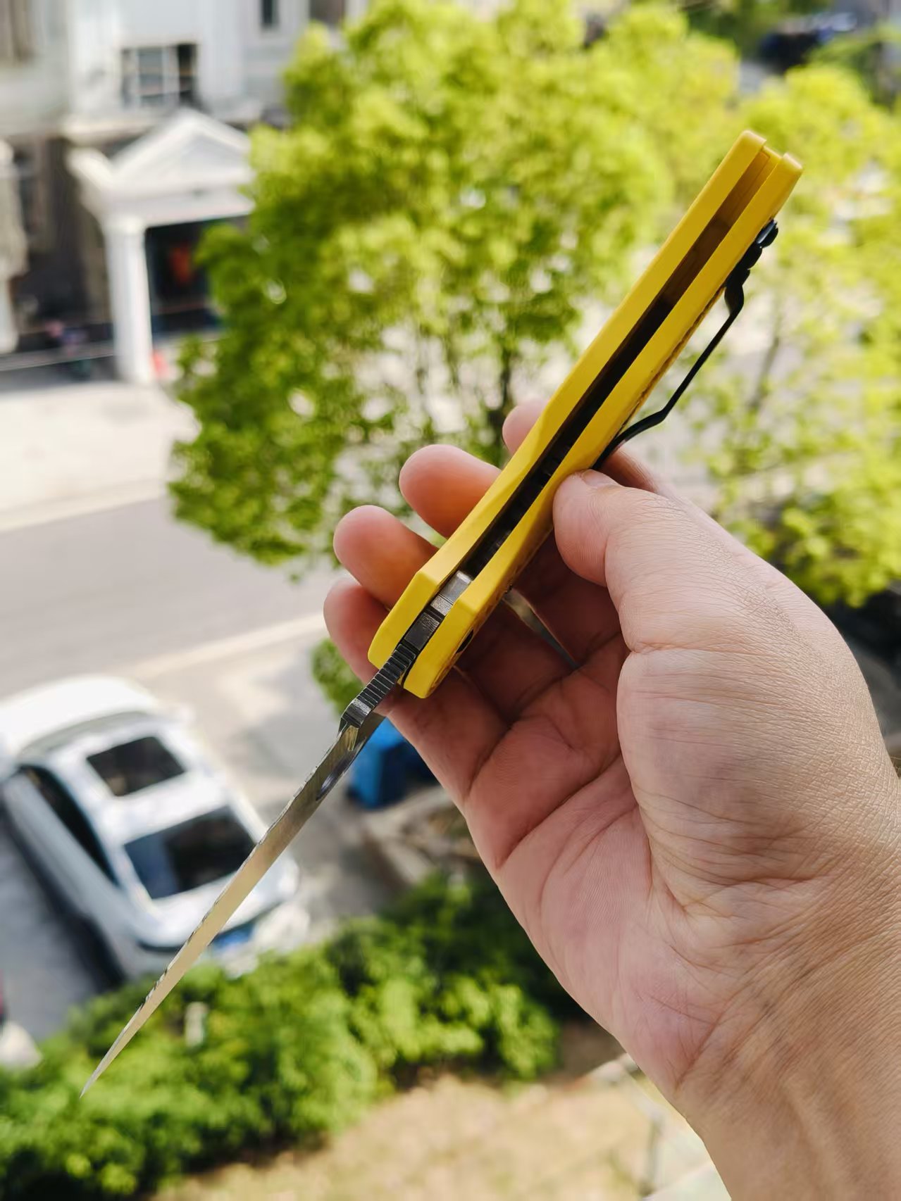 Spyderco C41SYL5 Native 5 CPM-MagnaCut钢  FRN尼龙手柄   黄色 1170
