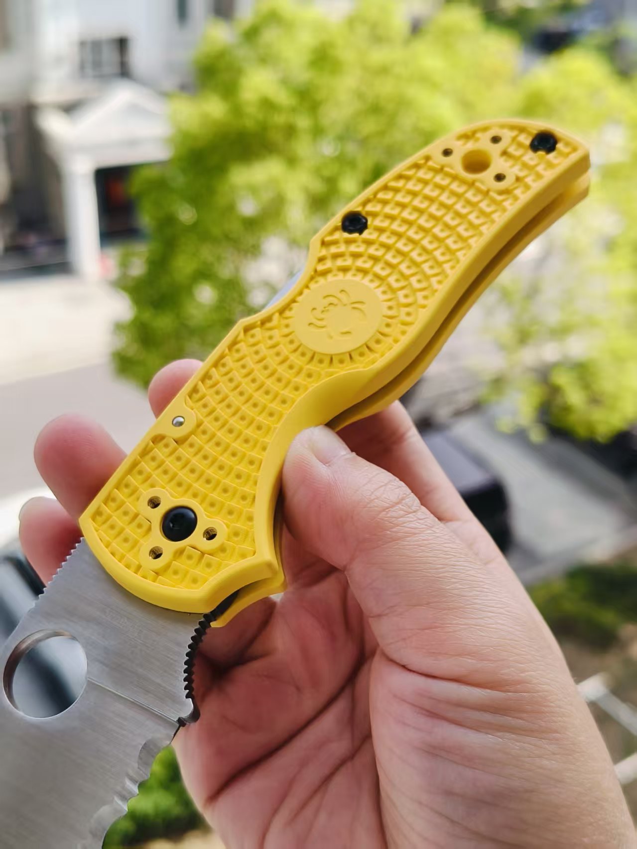 Spyderco C41SYL5 Native 5 CPM-MagnaCut钢  FRN尼龙手柄   黄色 1170